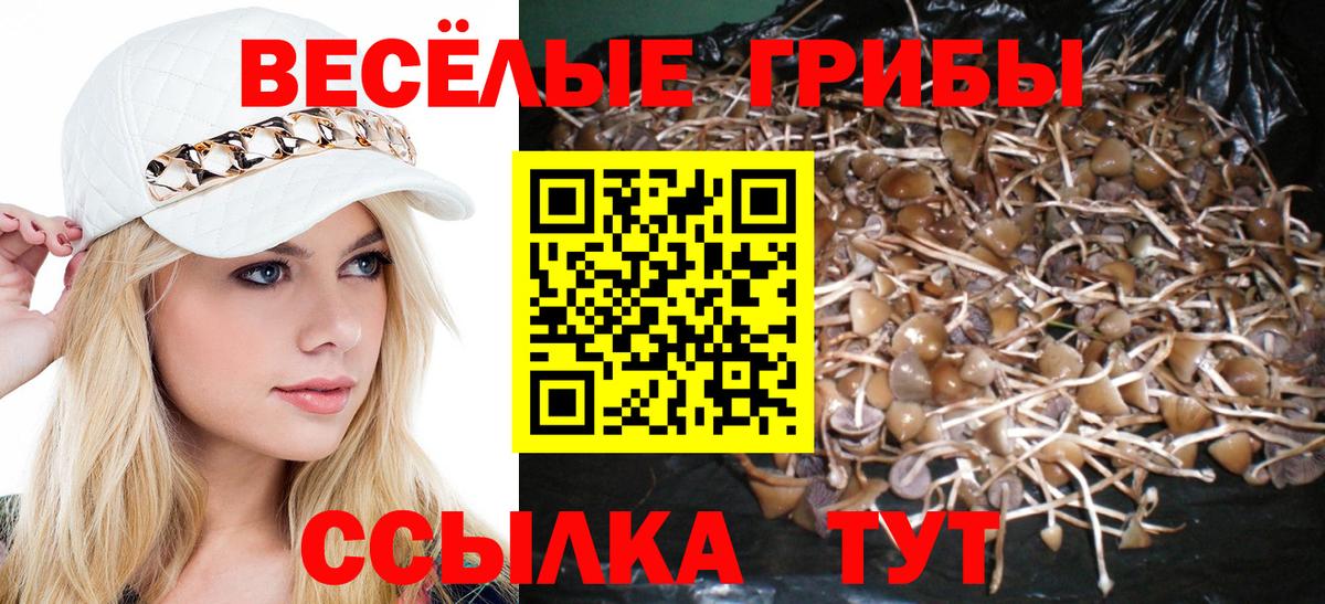 Галлюциногенные грибы GOLDEN TEACHER Знаменск