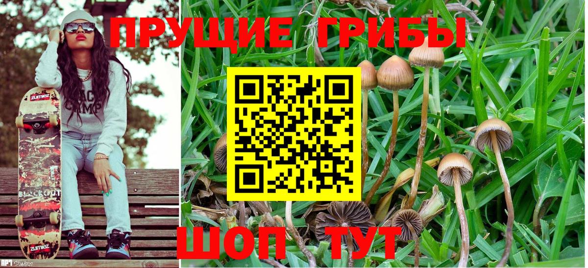 Знаменск  Псилоцибиновые грибы Magic Shrooms  Галлюциногенные грибы ЛСД  Вход с VPN 